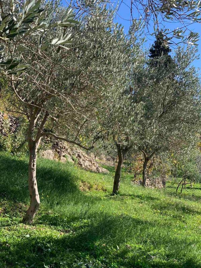 דירות באר Ranc Mujica מראה חיצוני תמונה